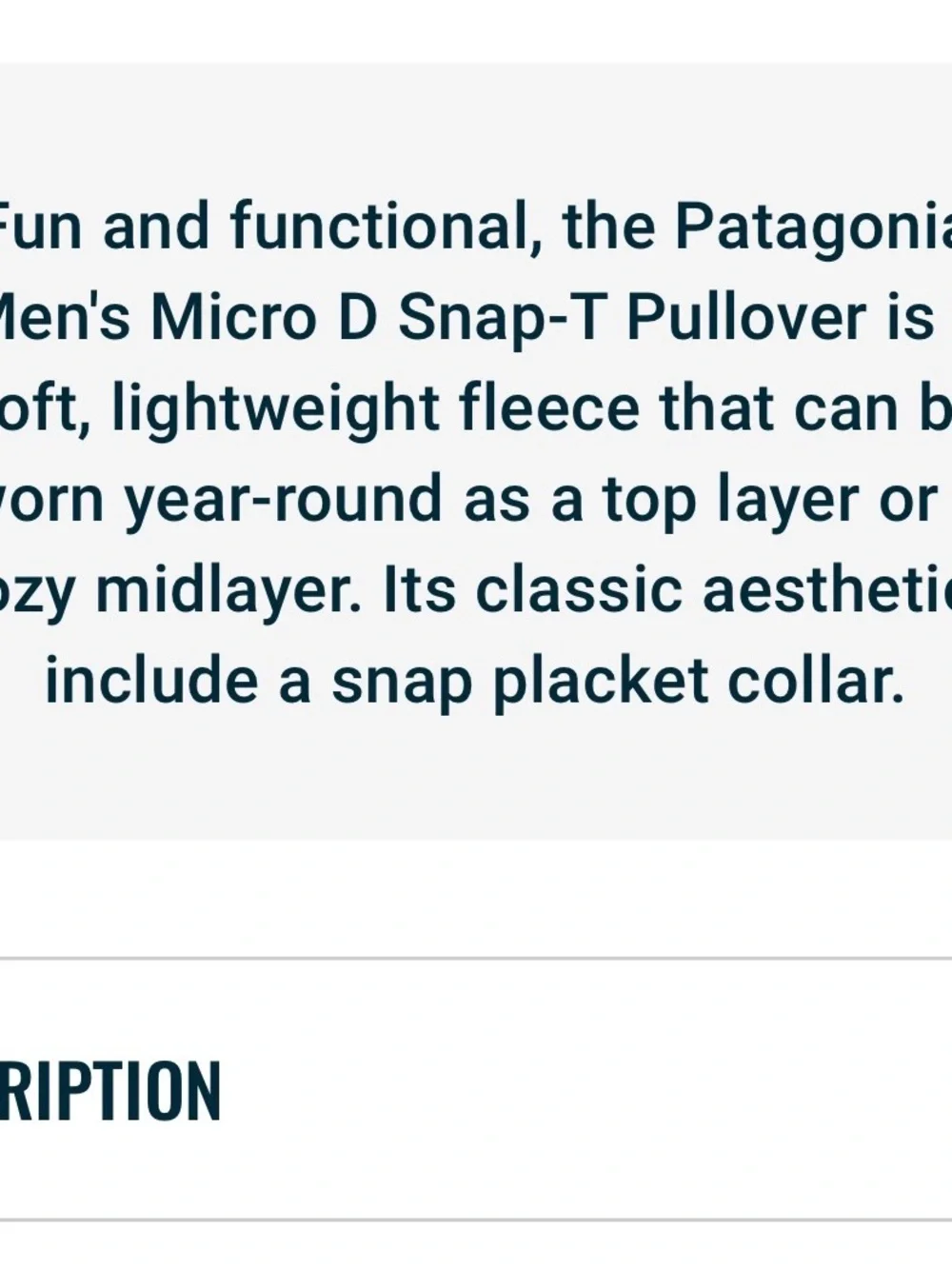 Men’s Patagonia micro fleece pullover